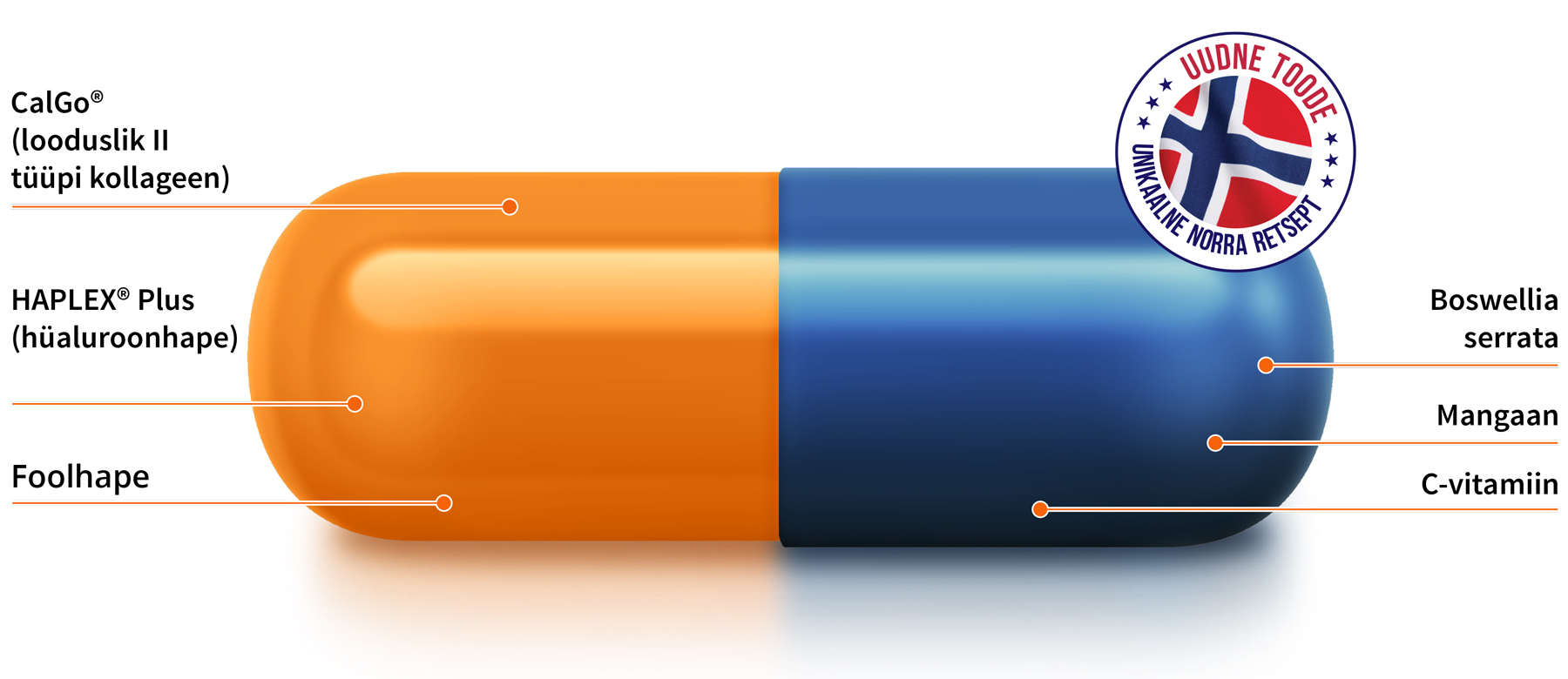 Natural Pharmaceuticals Movisan Illustratsioon, millel on kujutatud kahevärviline kapsel - oranž ja sinine - koos koostisosade kirjeldusega: CalGo® (looduslik II tüüpi kollageen), HAPLEX® Plus (hüaluroonhape), foolhape, Boswellia serrata, mangaan ja C-vitamiin. Paremas ülanurgas on ümmargune kleebis Norra lipu ja sõnadega „Uudne toode - unikaalne Norra retsept“.